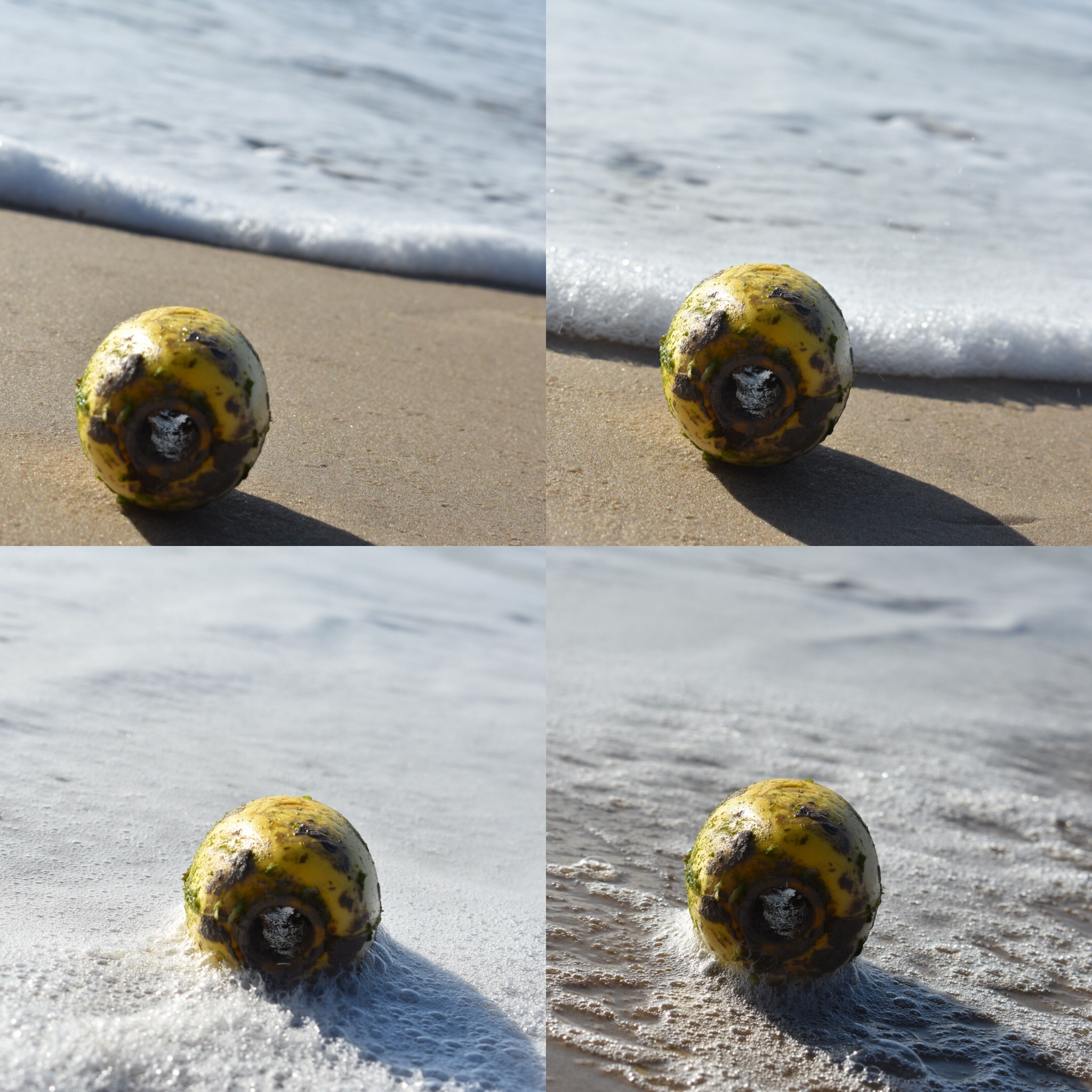 0AFB98E6-477D-4544-95B1-5080EF467B55