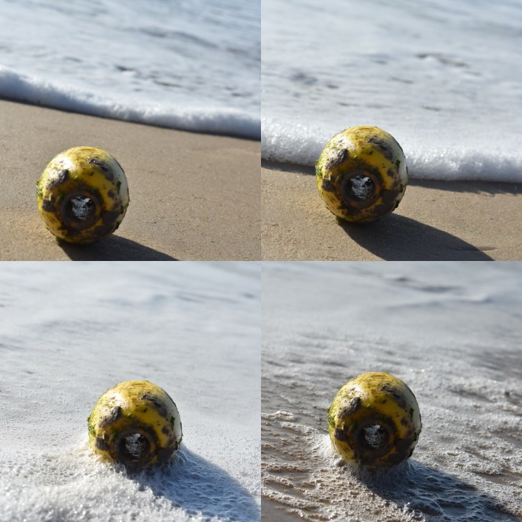 0AFB98E6-477D-4544-95B1-5080EF467B55