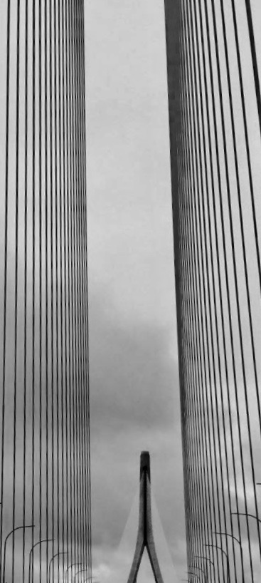 2e085a42-3f77-4397-a8e0-7166b3c2138c 2